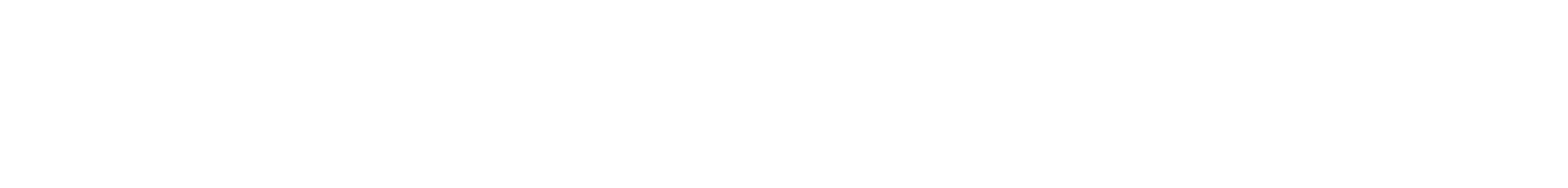 HOMAVPN
