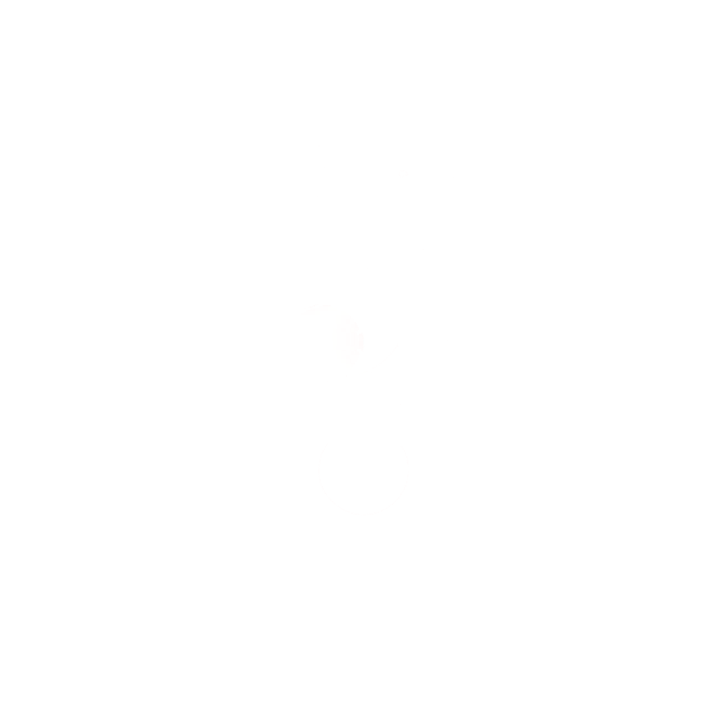 WireGuard